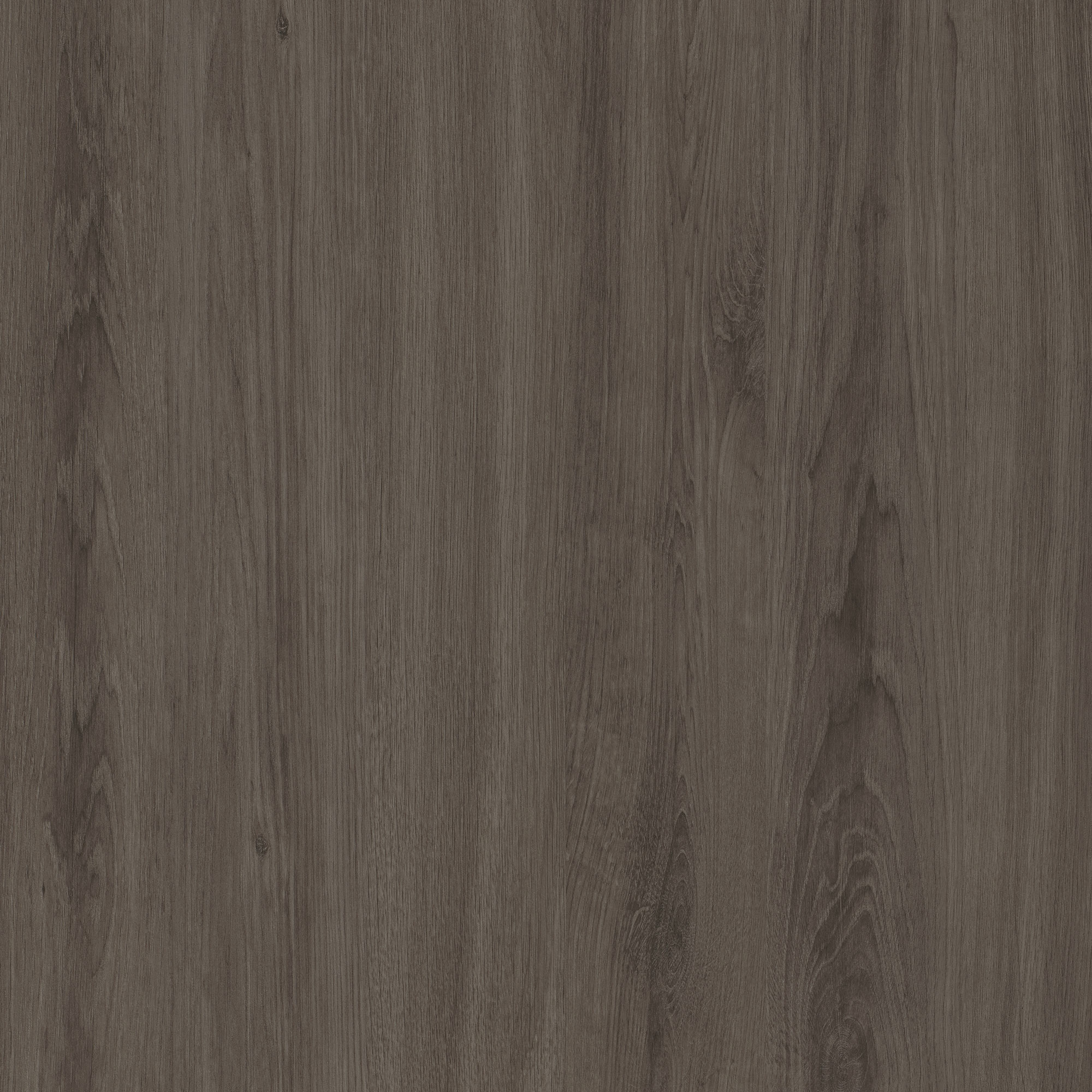 Taction Oak Gibraltar